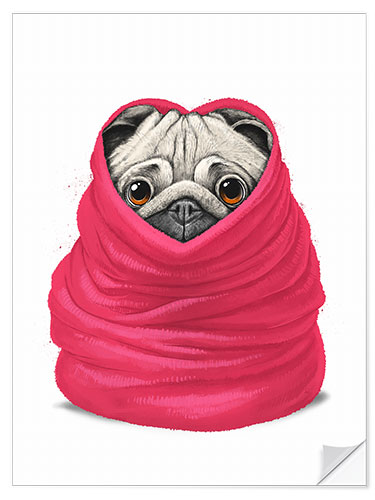 Sticker mural Pug in a warm blanket