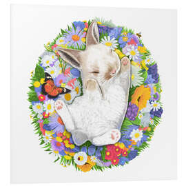 Foam board print Sleeping Baby Rabbit