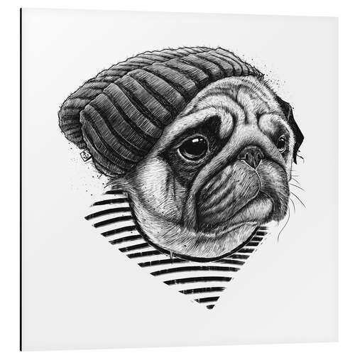 Aluminiumtavla Sailor Pug