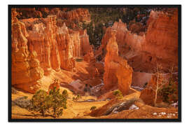Gerahmter Kunstdruck Die Hoodoos des Bryce Canyon, USA