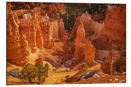 Magnettafel Die Hoodoos des Bryce Canyon, USA