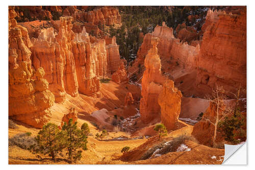 Sticker mural The hoodoos of Bryce Canyon, USA