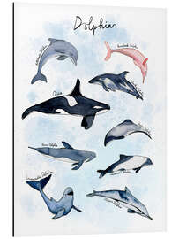 Aluminium print Dolphin species watercolour