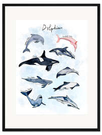 Gerahmter Kunstdruck Delfinarten Aquarell