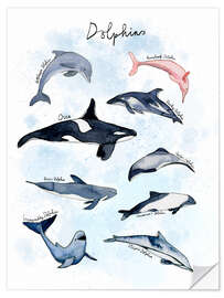 Selvklebende plakat Dolphin species watercolour