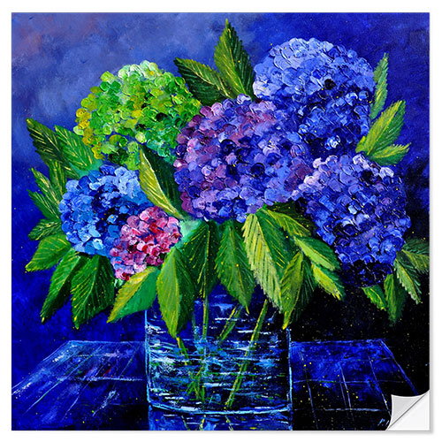 Selvklebende plakat Hydrangeas