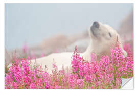 Självhäftande poster Sleeping polar bear on a spring meadow