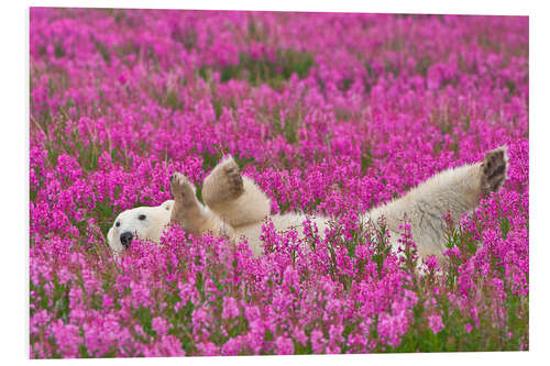 PVC-tavla Playing polar bear on a spring meadow