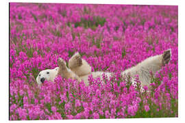 Magnettafel Spielender Eisbär auf einer Frühlingswiese