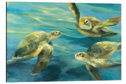 Tableau en aluminium Sea Turtles