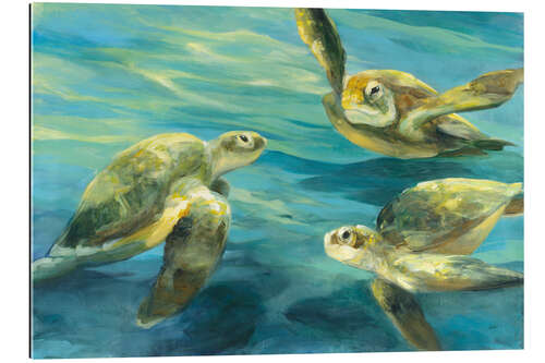 Galleriprint Sea Turtles