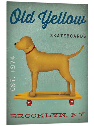 Acrylglasbild Golden Dog on Skateboard