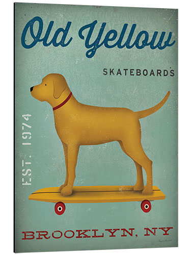 Tableau en aluminium Golden Dog on Skateboard