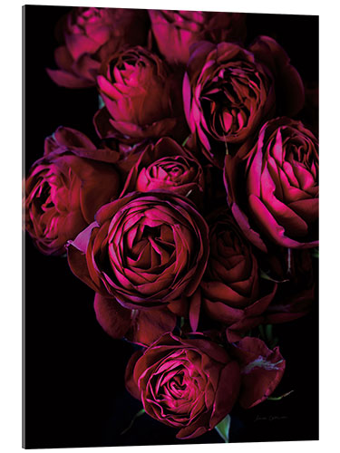 Acrylic print Magical Roses