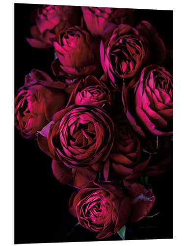 PVC-taulu Magical Roses