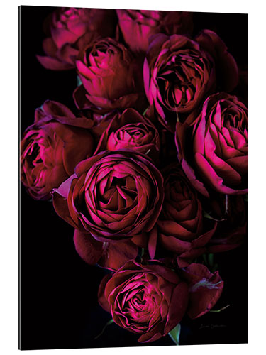 Gallery print Magical Roses