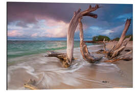 Tableau en aluminium Driftwood Sunset