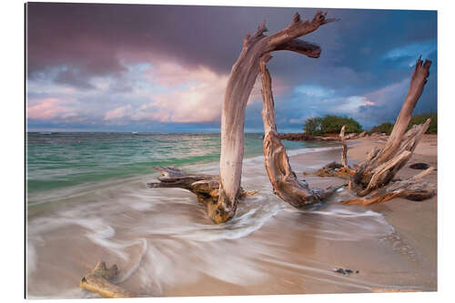 Cuadro de plexi-alu Driftwood Sunset