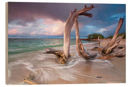 Hout print Driftwood Sunset