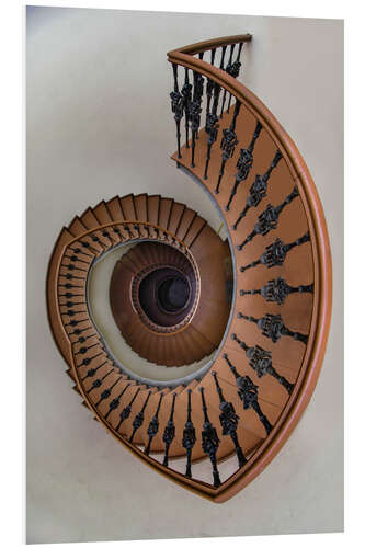 Foam board print Beautiful Spiral Staircase