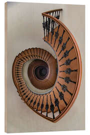 Wood print Beautiful Spiral Staircase