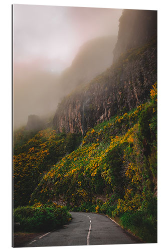 Tableau en plexi-alu Madeira Natural Park