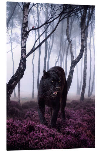 Acrylglas print Big Black Panther in the Forest