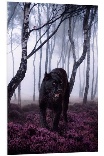 Foam board print Big Black Panther in the Forest