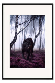 Gerahmter Kunstdruck Großer schwarzer Panther im Wald
