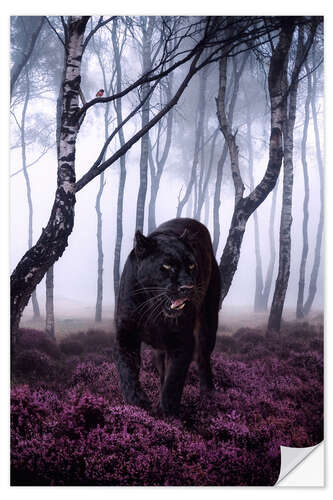 Autocolante decorativo Big Black Panther in the Forest