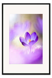 Gerahmter Kunstdruck Hübscher Krokus