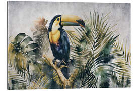 Quadro em plexi-alumínio Jungle Toucan