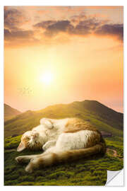 Wall sticker Relaxed giant cat at sunset