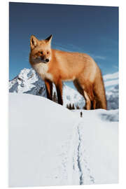 Cuadro de PVC Big red fox in the snow