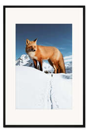 Gerahmter Kunstdruck Großer Rotfuchs im Schnee