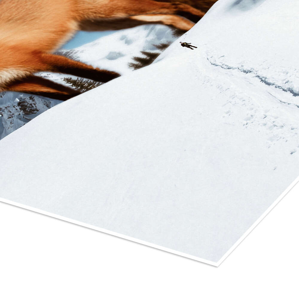Big red fox in the snow print by Gen Z | Posterlounge