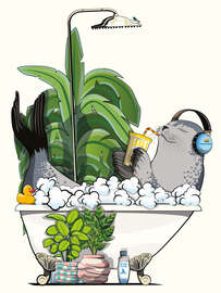 Magnettafel Seerobbe im Bad