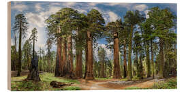 Tableau en bois Sequoia Giant Forest