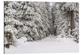 Alubild Winter im Thüringer Wald I