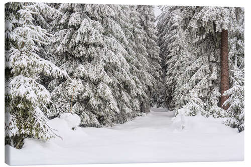 Lienzo Winter in the Thuringian Forest I