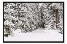 Gerahmter Kunstdruck Winter im Thüringer Wald I