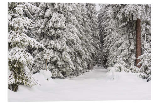 PVC-taulu Winter in the Thuringian Forest I