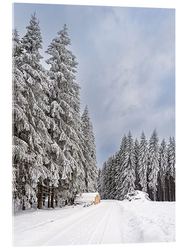 Acrylglasbild Winter im Thüringer Wald II