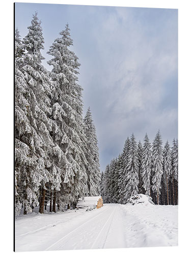 Alubild Winter im Thüringer Wald II