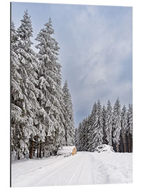 Tableau en aluminium Winter in the Thuringian Forest II