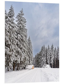 Foam board print Winter in the Thuringian Forest II