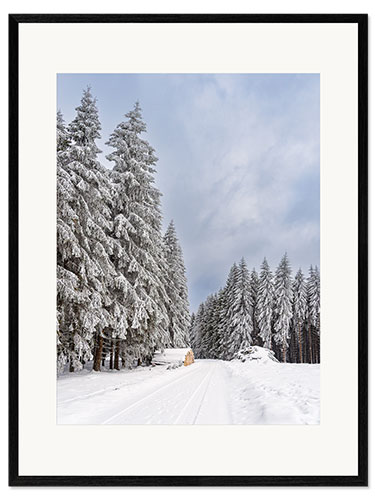 Kehystetty taidepainatus Winter in the Thuringian Forest II