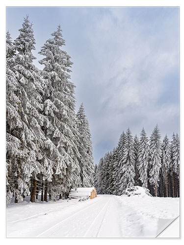 Naklejka na ścianę Winter in the Thuringian Forest II