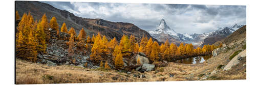 Aluminium print Grindjisee and Matterhorn in autumn