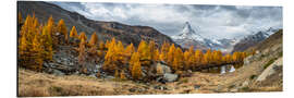 Print på aluminium Grindjisee and Matterhorn in autumn